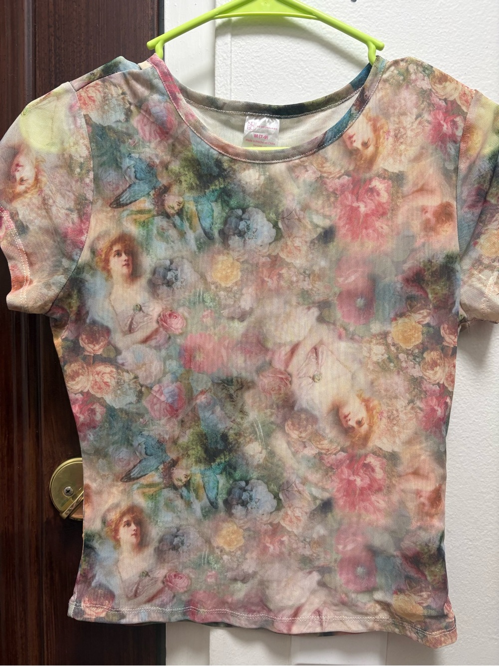 No Boundaries Pastel Multi Angel & Floral Sheer Top